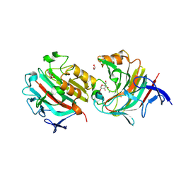 BU of 9fbe by Molmil