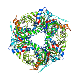 BU of 9fbz by Molmil