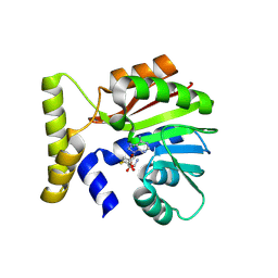 BU of 9fcs by Molmil