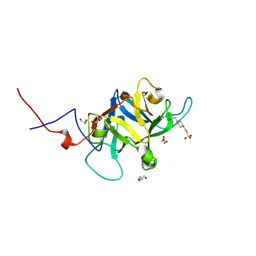 BU of 9fd0 by Molmil