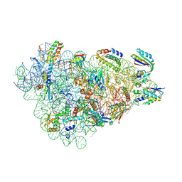 BU of 9fda by Molmil