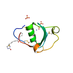 BU of 9fdm by Molmil