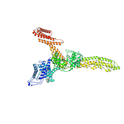 BU of 9fgm by Molmil