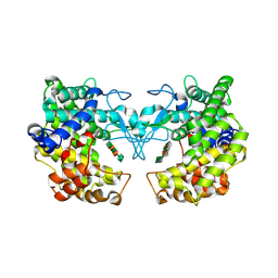 BU of 9fhv by Molmil