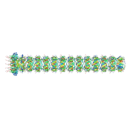 BU of 9fkb by Molmil