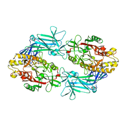 BU of 9fmn by Molmil