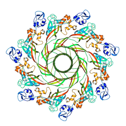 BU of 9fnp by Molmil