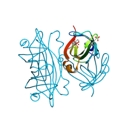 BU of 9fnr by Molmil