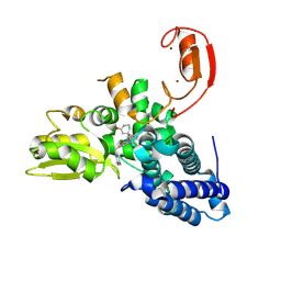 BU of 9fqi by Molmil