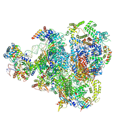 BU of 9fsp by Molmil