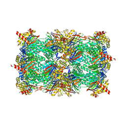 BU of 9fsv by Molmil