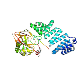 BU of 9fvv by Molmil