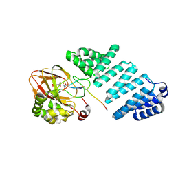 BU of 9fvw by Molmil