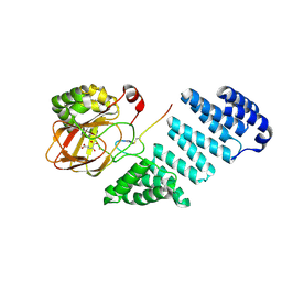 BU of 9fw0 by Molmil