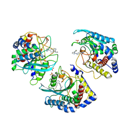 AU of 9fxi by Molmil