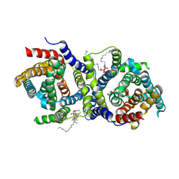 BU of 9g0x by Molmil