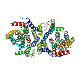 BU of 9g0z by Molmil