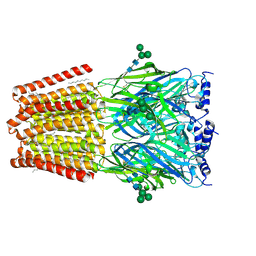 BU of 9g2e by Molmil