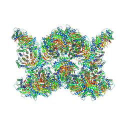 BU of 9g3i by Molmil