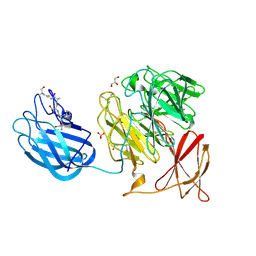 BU of 9g8h by Molmil