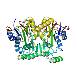 BU of 9gac by Molmil