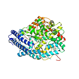 BU of 9gbs by Molmil
