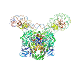 BU of 9gbv by Molmil