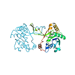 BU of 9gca by Molmil