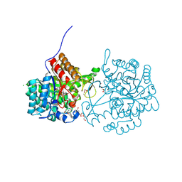 BU of 9gci by Molmil