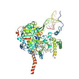 BU of 9gcl by Molmil