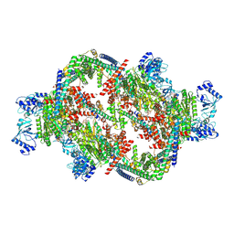 BU of 9gcs by Molmil