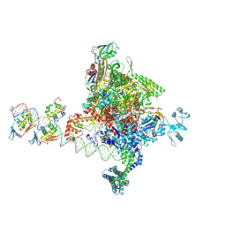 BU of 9gdr by Molmil