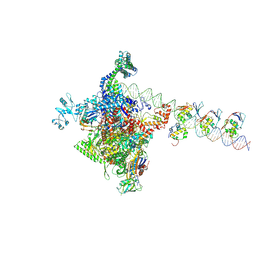 BU of 9gds by Molmil