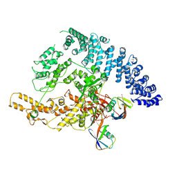 BU of 9gkn by Molmil