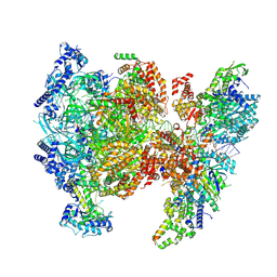 BU of 9gm5 by Molmil