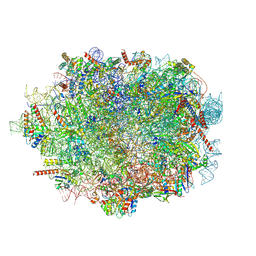 BU of 9gmo by Molmil