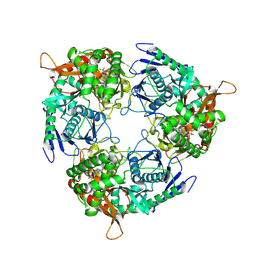 BU of 9gms by Molmil