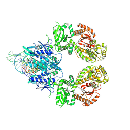 BU of 9gmx by Molmil