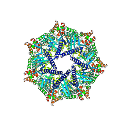 BU of 9gsn by Molmil