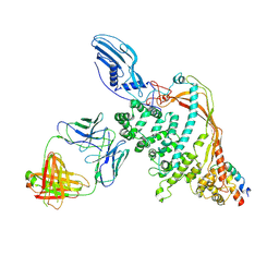 BU of 9gvg by Molmil