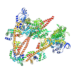 BU of 9gz1 by Molmil