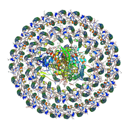 BU of 9h19 by Molmil