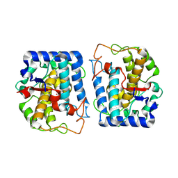BU of 9h29 by Molmil