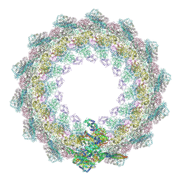 BU of 9h2j by Molmil