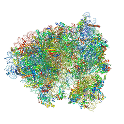 BU of 9h3g by Molmil