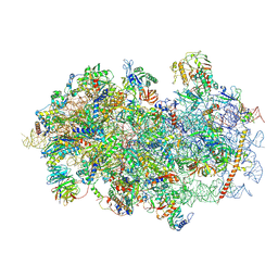 BU of 9h6y by Molmil