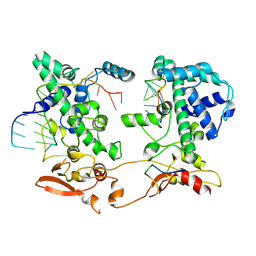 BU of 9hbv by Molmil