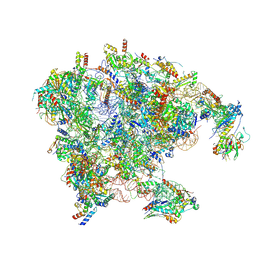 BU of 9hcc by Molmil