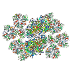 BU of 9hd7 by Molmil