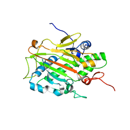 BU of 9hdl by Molmil